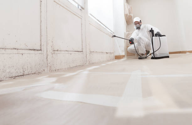 24/7 Emergency Mold Inspection experts in Central City, PA