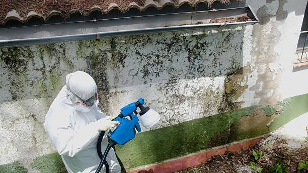 Trusted Mold Inspection service in Central City, PA - Cheap Mold Removal